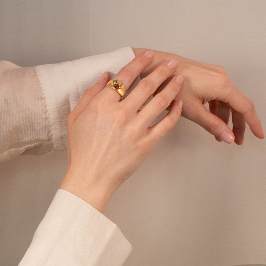 Anello Vita