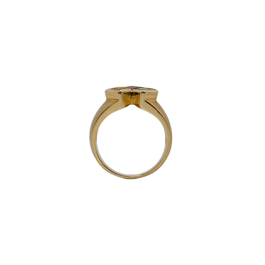 Anello Vita